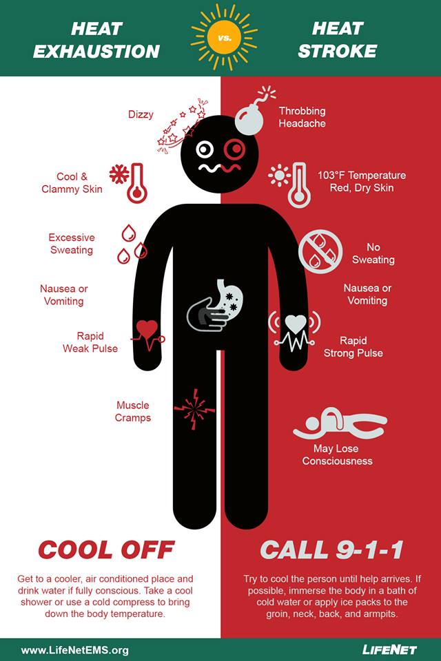 Heat Stroke Awareness Infographic